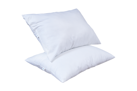zesta | ZESTA Regular Pillow